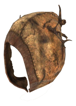 FO76 Cultist Neophyte Hood