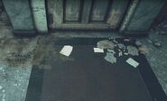 Flavia's disapp eviction notice 999's setback.jpg (280 KB)