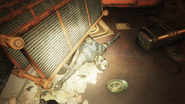 Corpse crushed under a shelf in the incinerator room