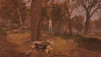 Hung mannequin at the trail leading to the lookout