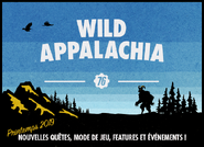 Bannière 2019 de Wild Appalachia