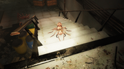 Scorched ant.png