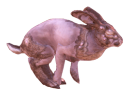 FO76 Rabbit.png