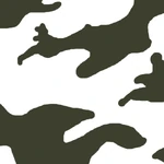 A two tone pattern for Chinese infantry operating in Alaska.