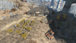 Graygarden
