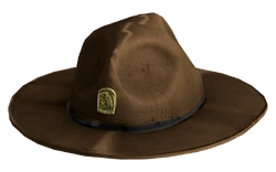 Chapéu Ranger de 2281