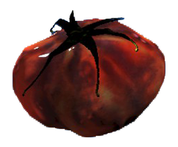 Fallout 4 мутафрукт id. Fallout new vegas мутафрукт. Фоллаут 4 мутафрукт id. Убежище 81 алексис. Мутафрукт фоллаут 4.