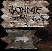 Bonniespringsarrowsign d