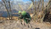 FO4 Glowing Bloatfly