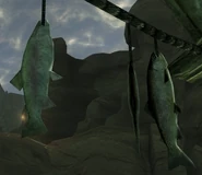 Peces dejados a secar en Honest Hearts