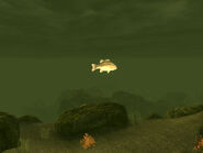 Un pez en el Lago Mead