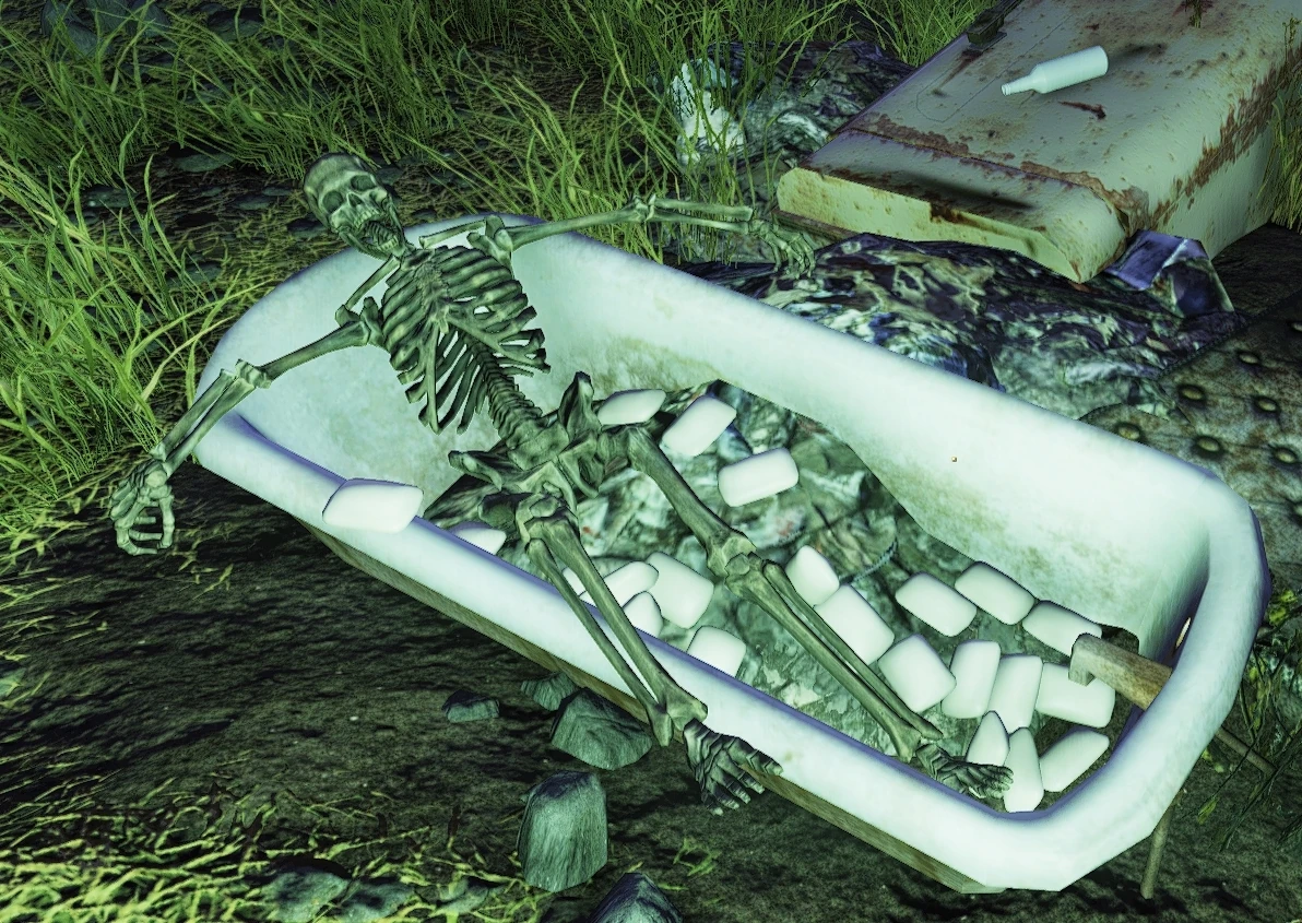 Soapy skeleton Fallout Wiki - Latest