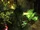 FNV Vault 22 Spore carrier (ue).png
