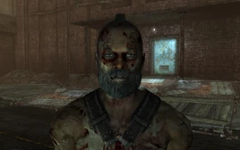 FO3TPSlaveLeadConspirator