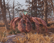 Fallout 76 Hermit Crab