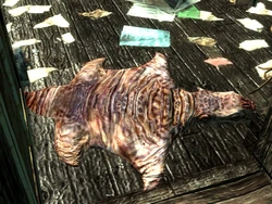 Mole Rat Fallout 3 Fallout Wiki Fandom