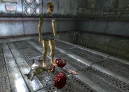 Error en el experimento de pruebas genéticas del X-8