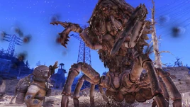 Papermaphover swarmofsuitors