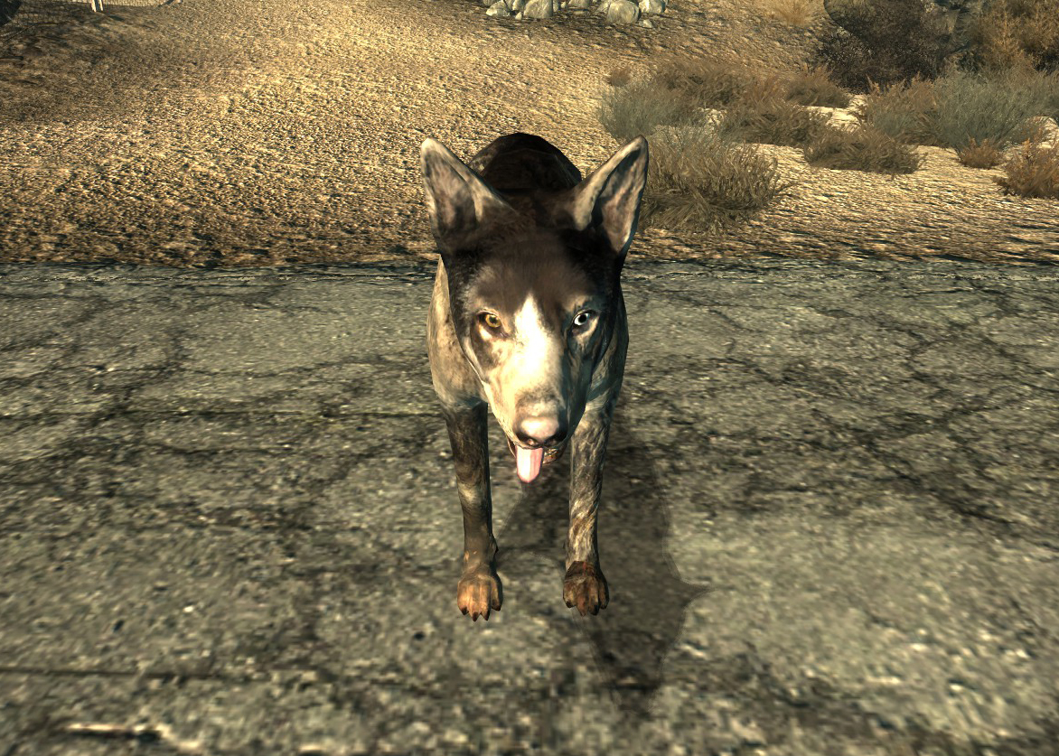 fallout 3 dog meat