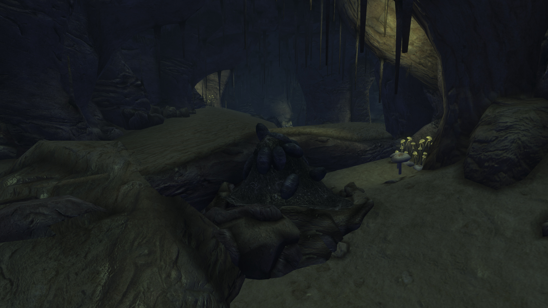 fallout nv guess who i saw today fallout nv guess who i saw today