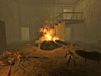 Fred Wilks, lying dead among some fire ants