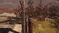 Potential bobblehead spawn