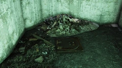 FO76 Wavy Willard's (WWWP Slither Slide 10172077 daily)