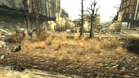 Frag mines Bethesda ruins.jpg (1.58 MB) Bethesda ruins