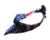Stars and Stripes bandana