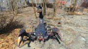 FO4 Radscorpion Stalker