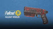 Survival Bundle #1