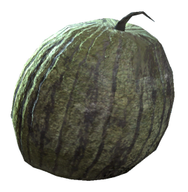 Melon