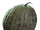 Melon (Fallout 4)