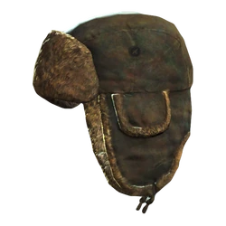 Ushanka hat