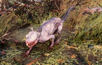 FO76 Squirrel.png (2.46 MB) Squirrel during Grahm's Meat-Cook