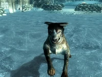 Guard dog at the ice camp in the Anchorage Reclamation simulation