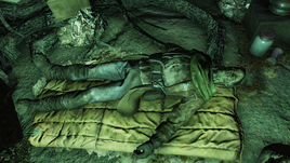 Reggiehopewellcave