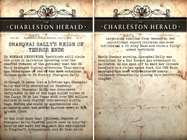 Shanghai Sally Chapter Closed