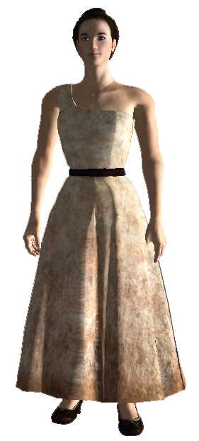 fallout new vegas make companions wear clothes