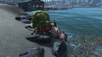 Mirelurk eating a dolphish