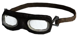 Biker Goggles