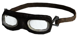 Biker Goggles