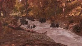 FO76SV South River 01