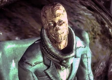 Pliks fehlerhaftes Gesicht