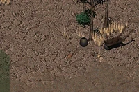 Rope Farrel's garden.png (168 KB) Farrel's garden