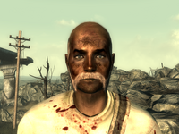FO3Wasteland doctor8