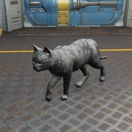 FO4 Ashes.png (598 КБ)