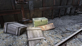 FO76WL Lucky Find case