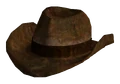 Ranger brown hat