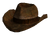 Ranger brown hat.png